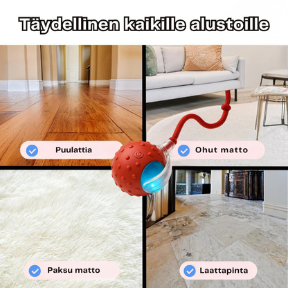 HappyPaws™ - CrazyChase Pro